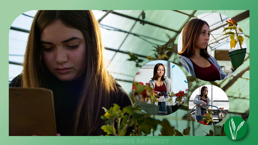 Producer | Director | Editor